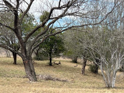 Land, Horseshoe Bay, TX