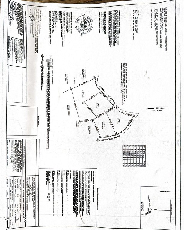 Picture 21