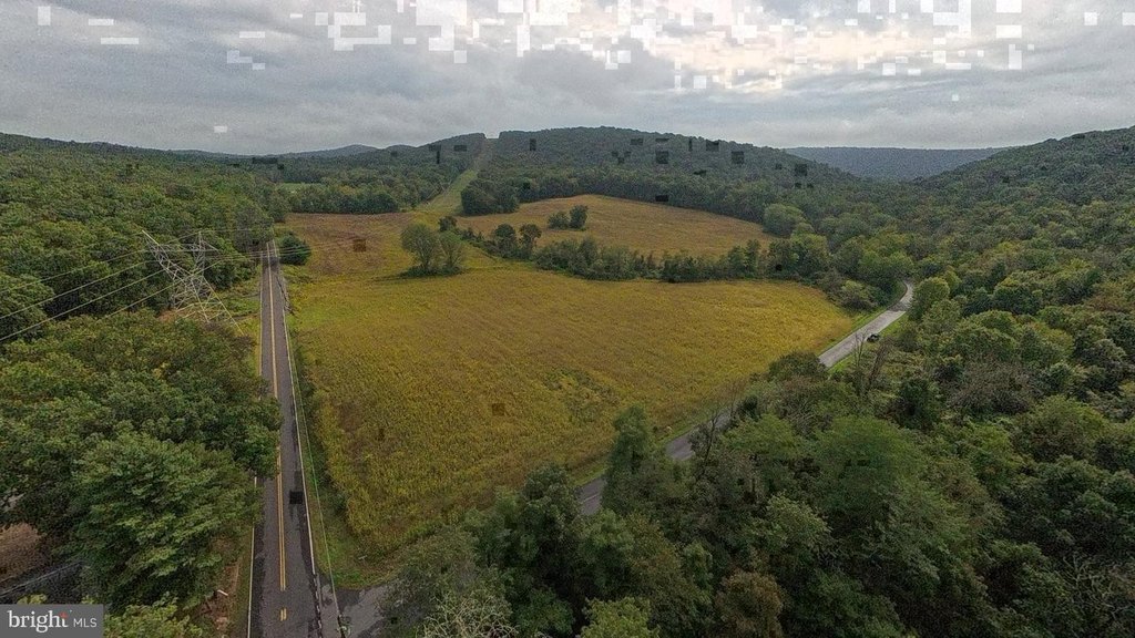 Picture 18