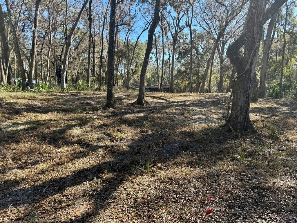 Picture 4