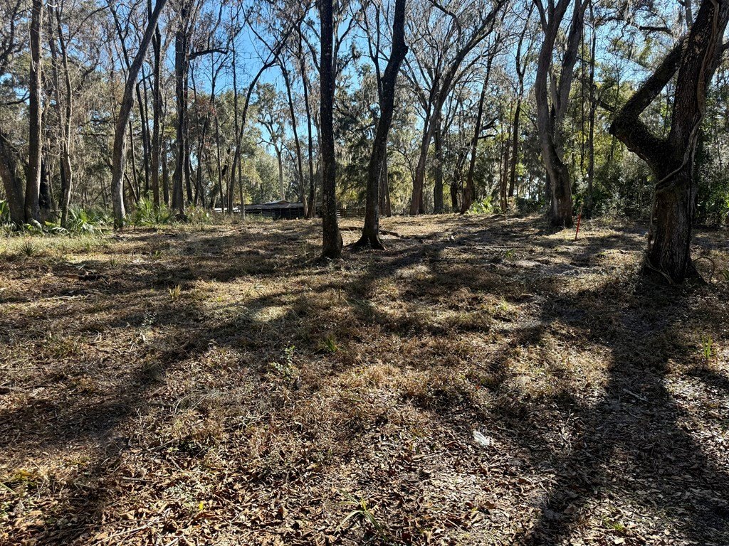 Picture 3