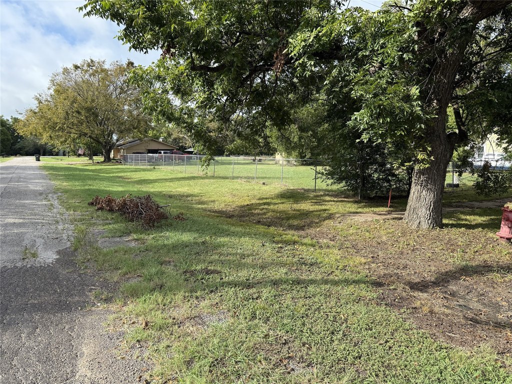 Picture 12
