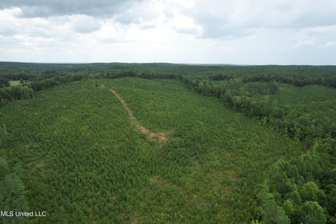 75.9 Acres in Lafayette County