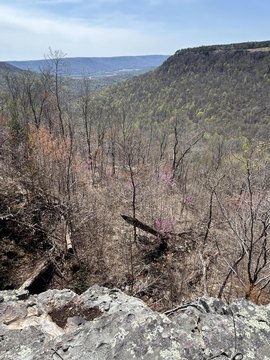 Rare Bluff Lot with Epic Views