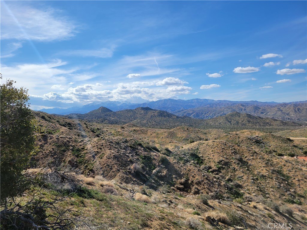 Picture 11