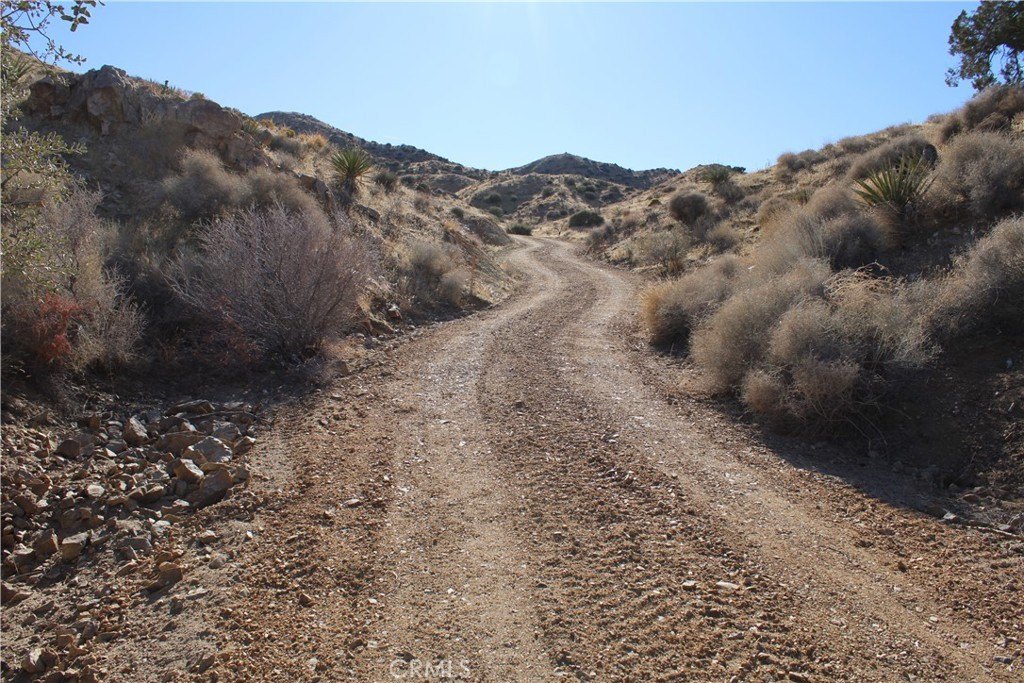 Picture 9