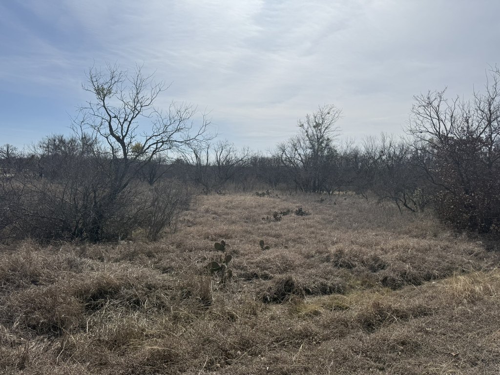 Picture 16