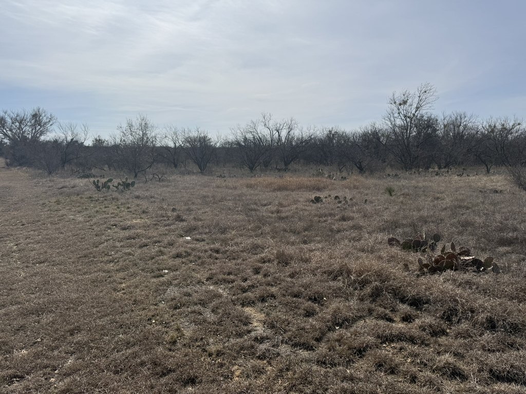 Picture 12
