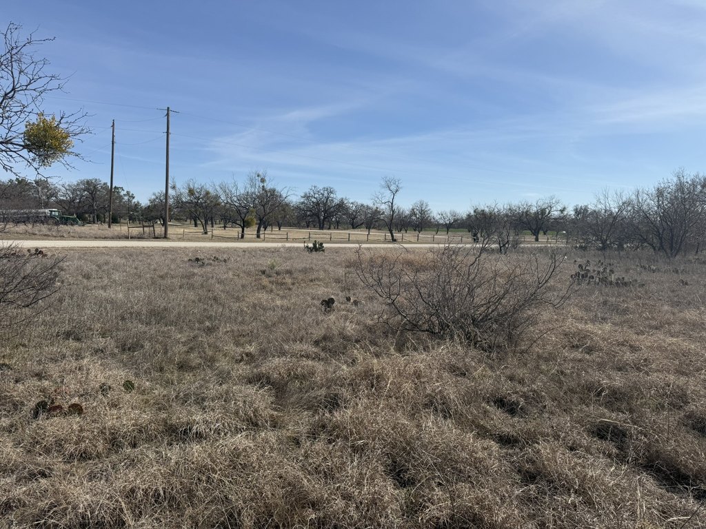 Picture 19
