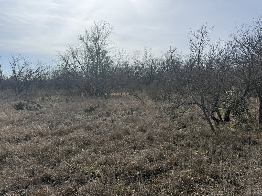Picture 17