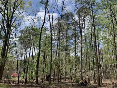 Buildable Lot in McCormick, SC