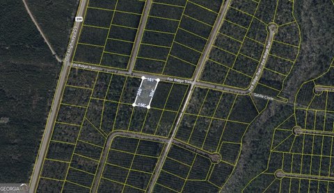 Picture of Land at Fox Ridge Trl 43, Waynesville, GA
