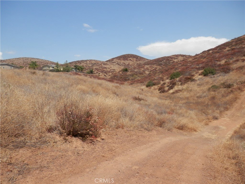 Picture 16
