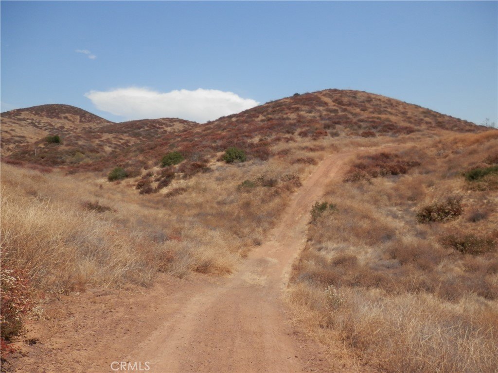 Picture 10