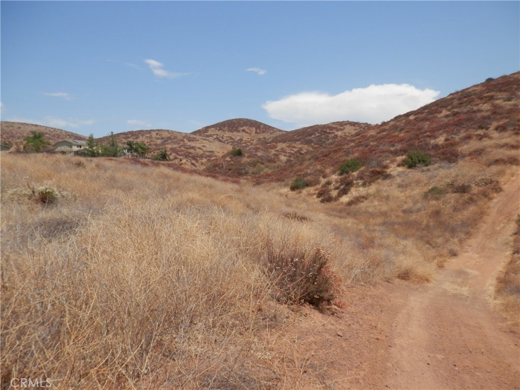 Picture 2