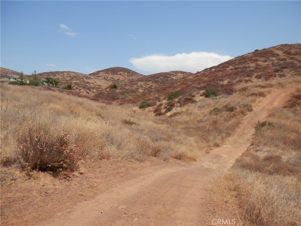 Picture 17
