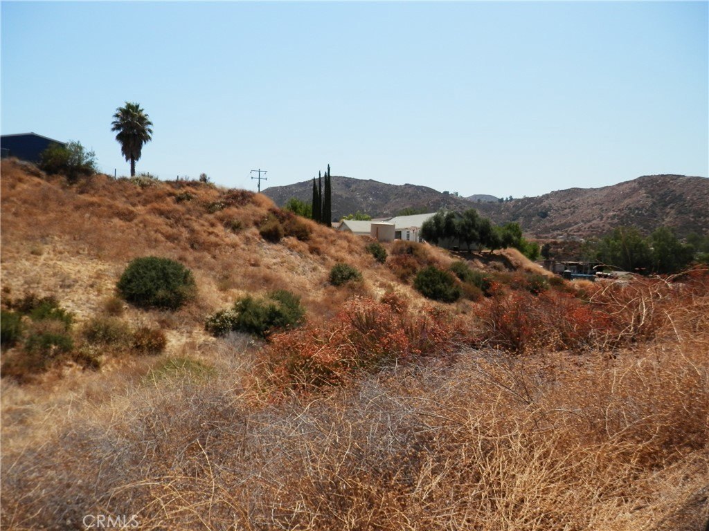 Picture 12
