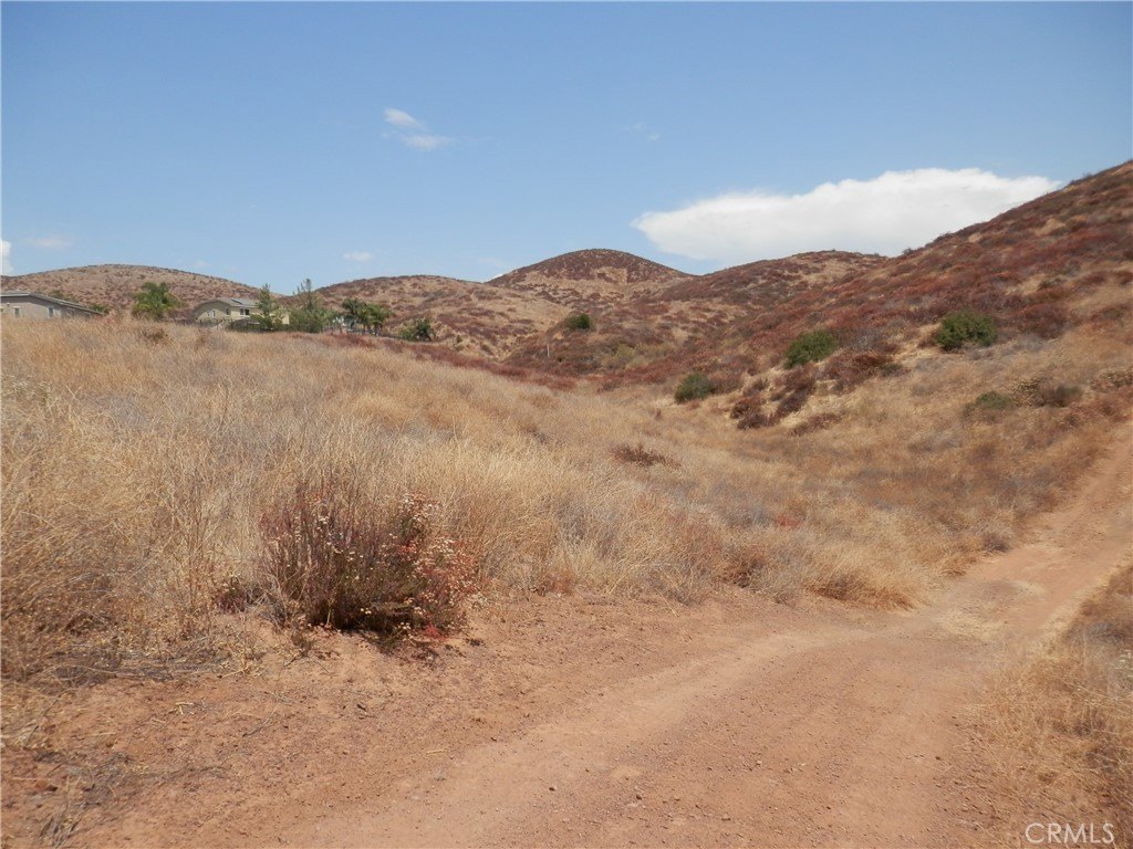 Picture 16