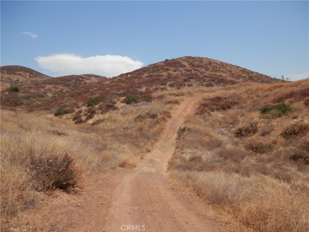 Picture 3