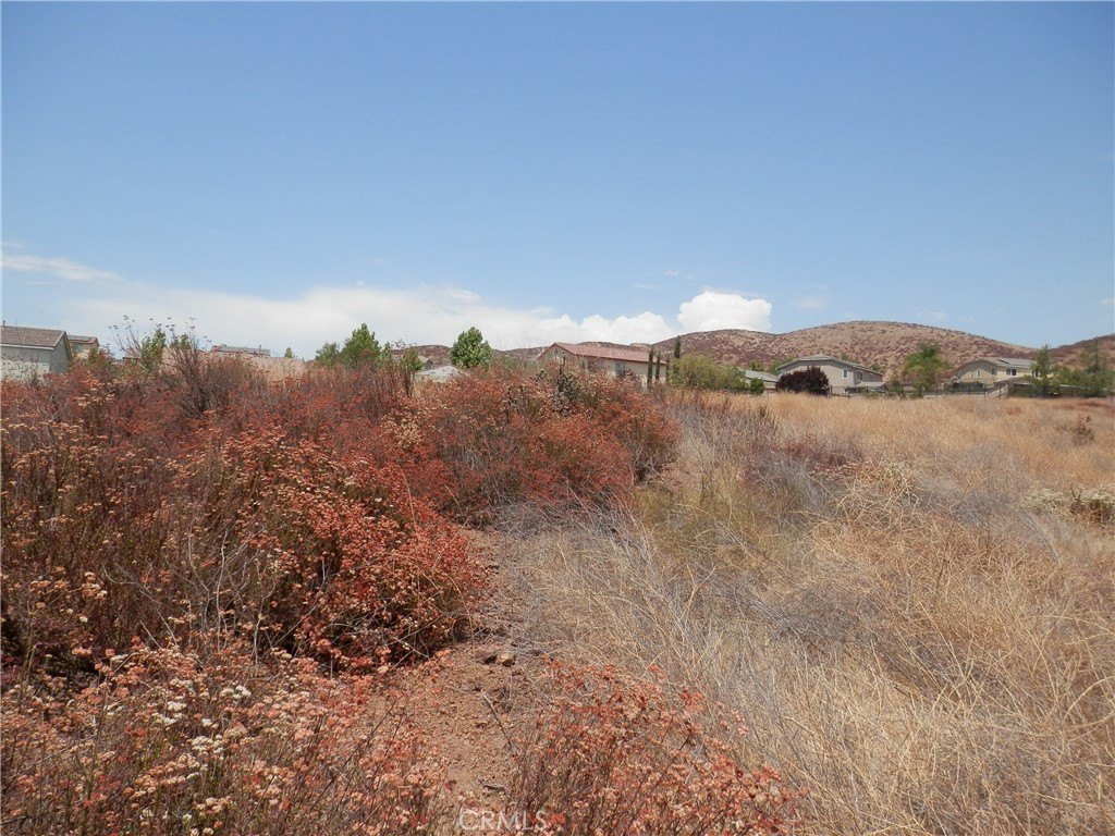 Picture 14