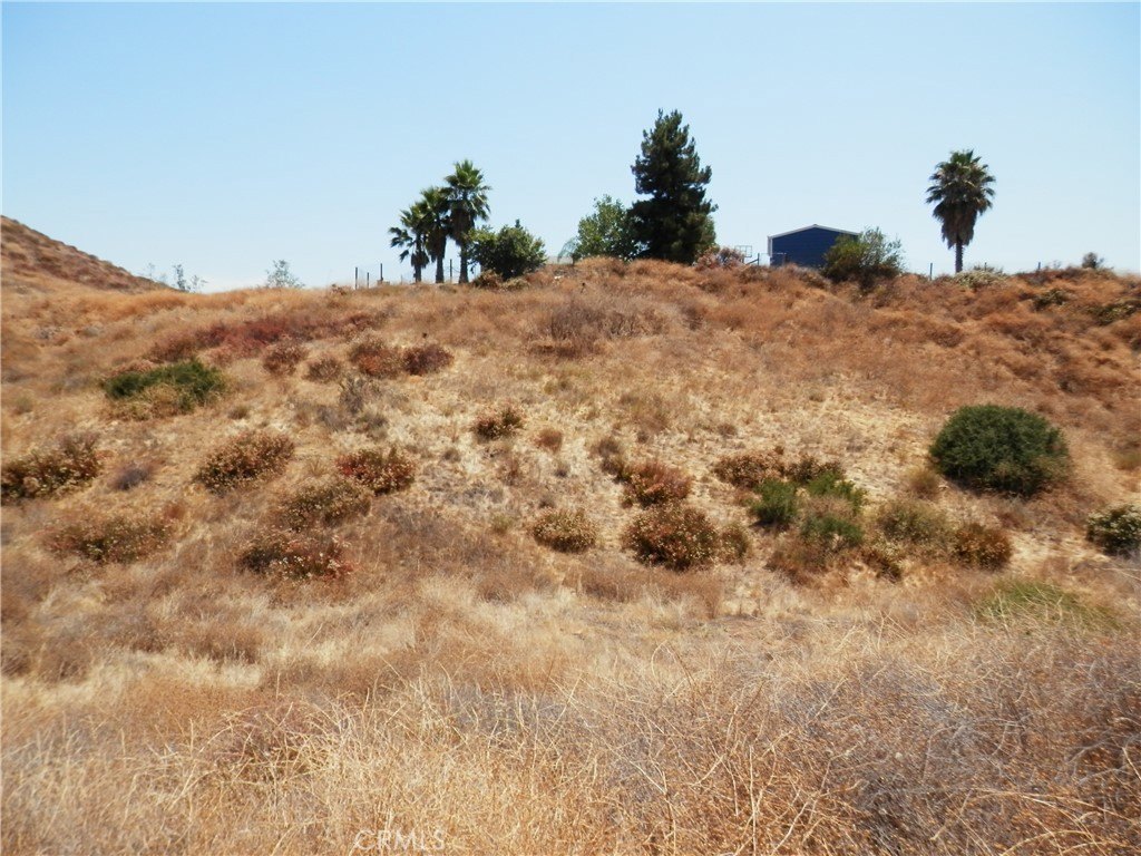 Picture 11