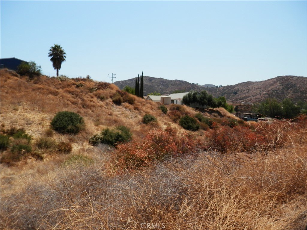 Picture 11