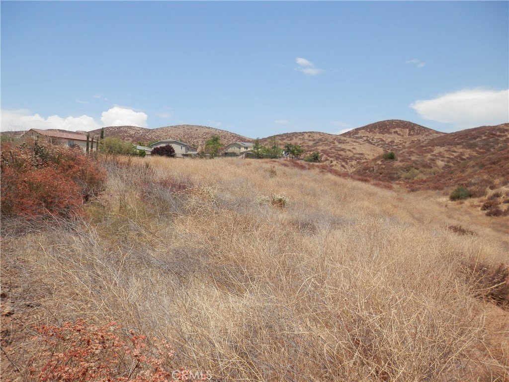 Picture 15