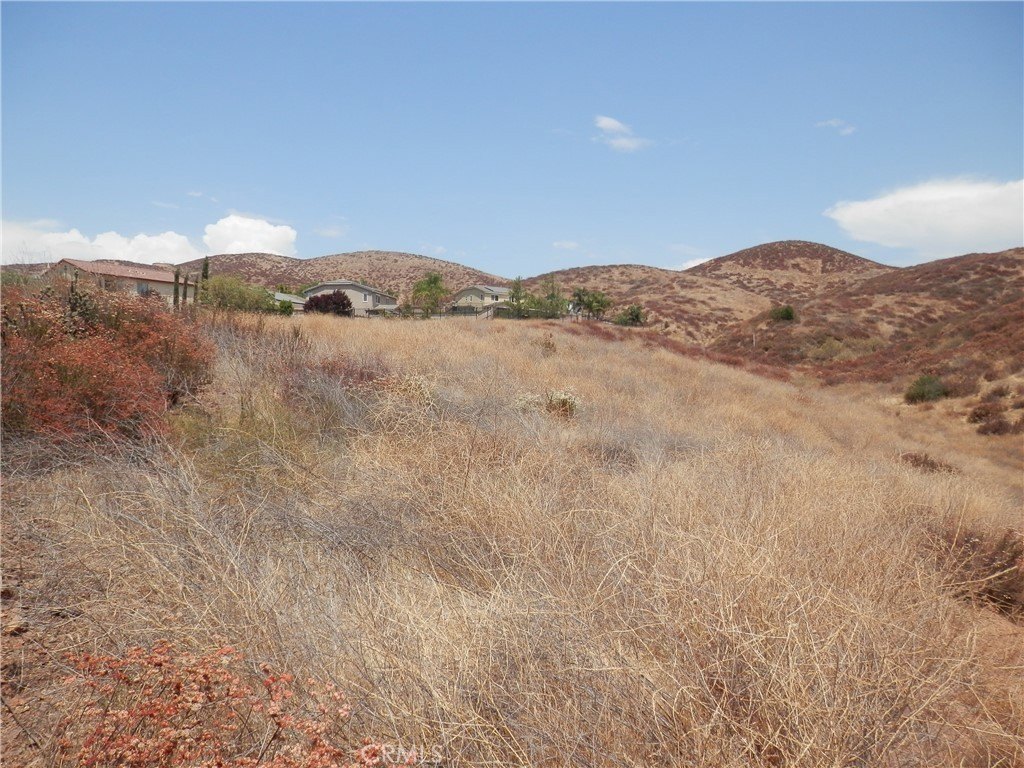 Picture 15