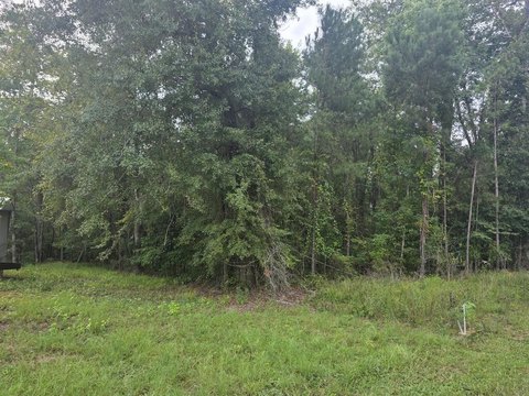 Land, Georgetown, GA