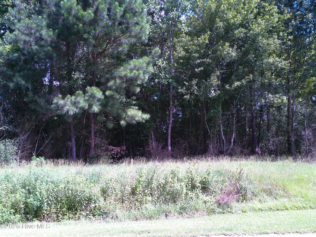 Picture 2