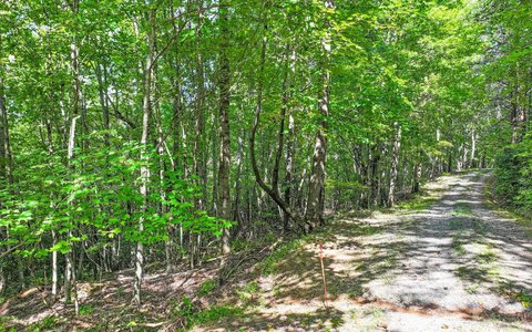 Vacant Lot in Mineral Bluff