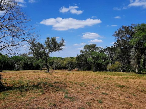 Hallettsville Vacant Land Opportunity