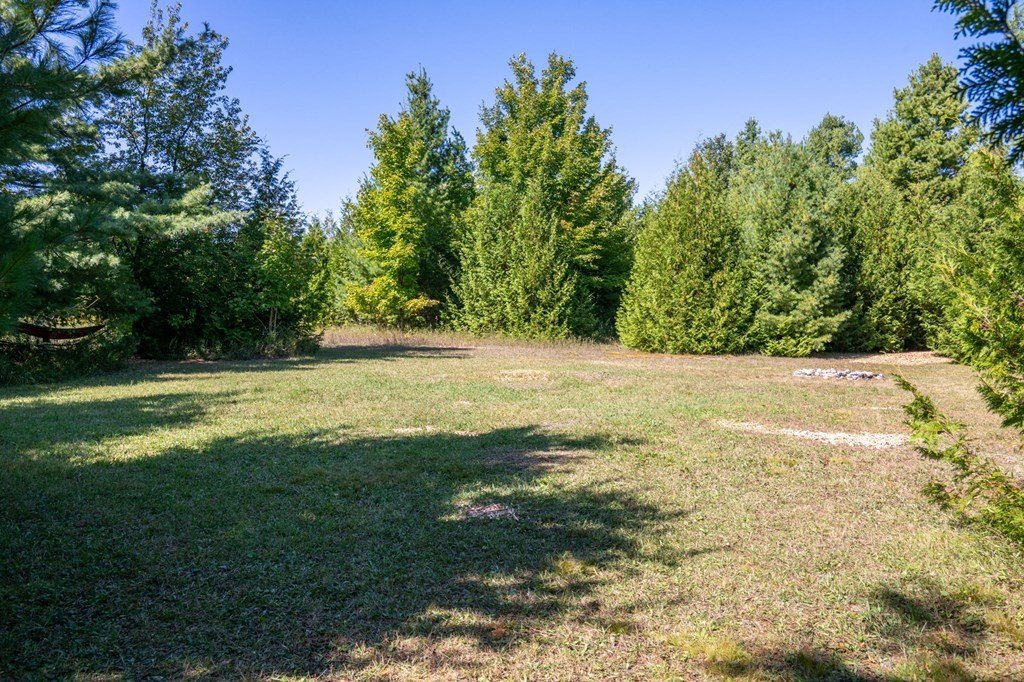 Picture 37