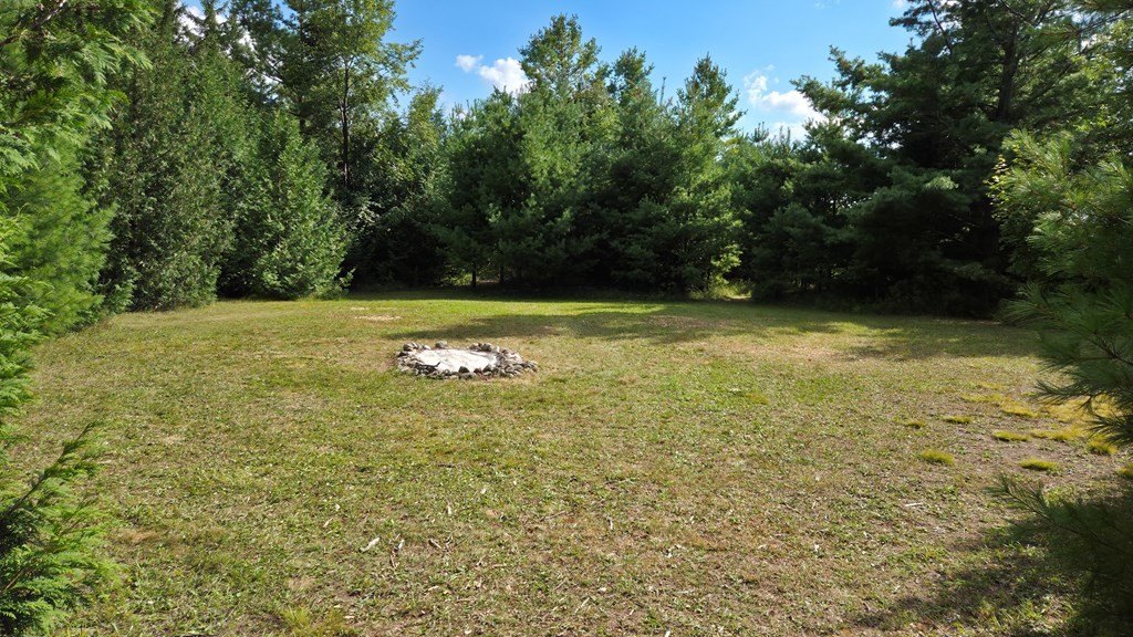 Picture 9