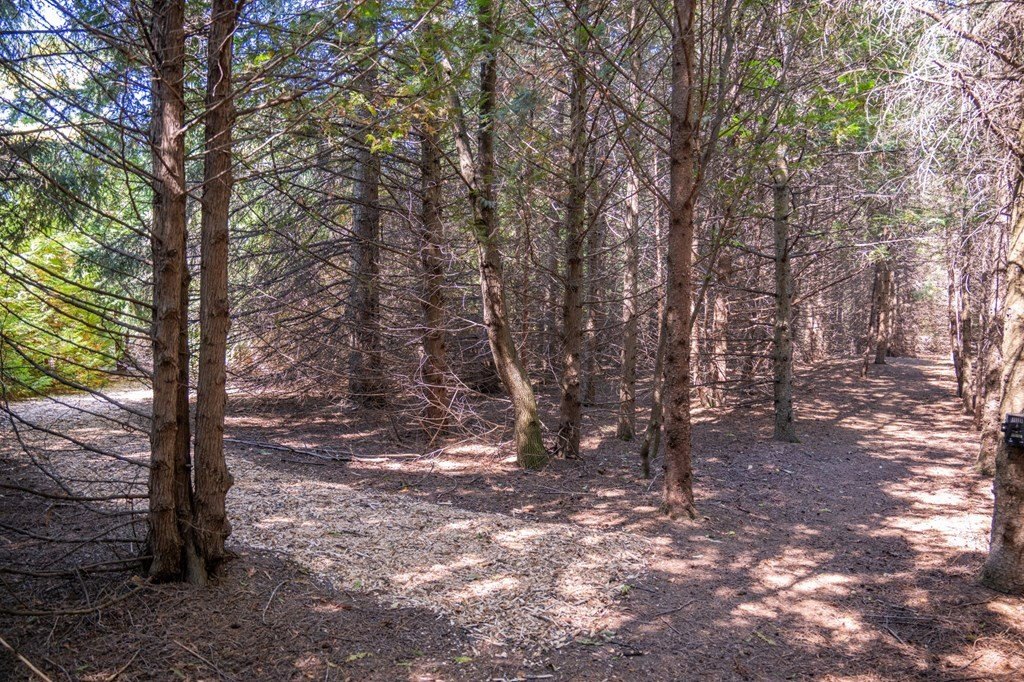 Picture 41