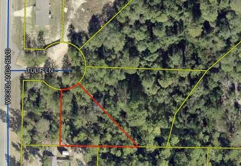 Vacant Wooded Lot Opportunity