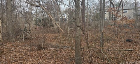 Residential Land in Mastic, NY