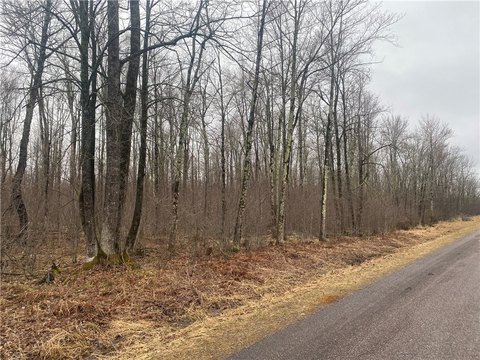 40 Acres of Land, Ogema