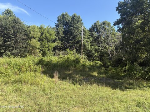 LAND - Lancing, TN