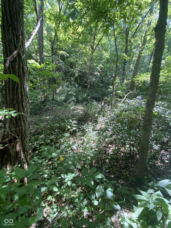 Picture 16