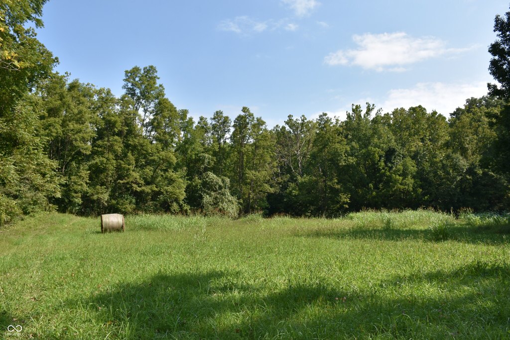 Picture 18