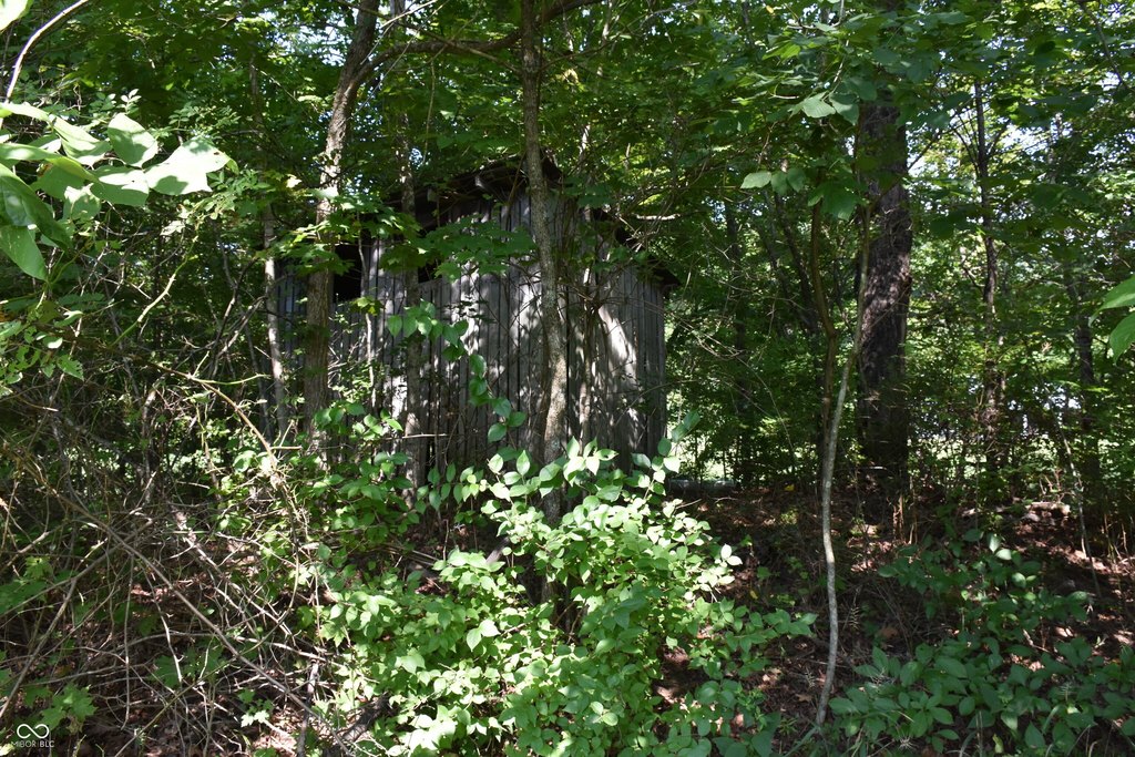 Picture 15