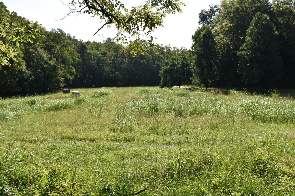 Picture 14