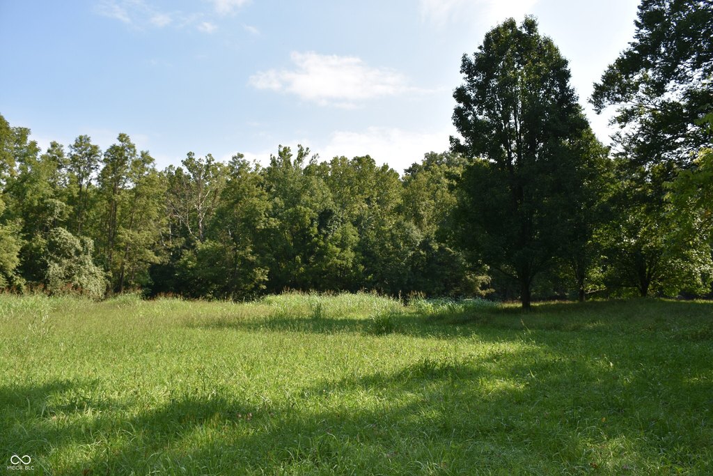 Picture 19
