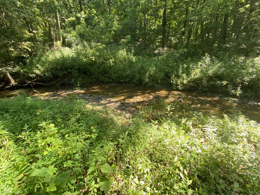 Picture 7