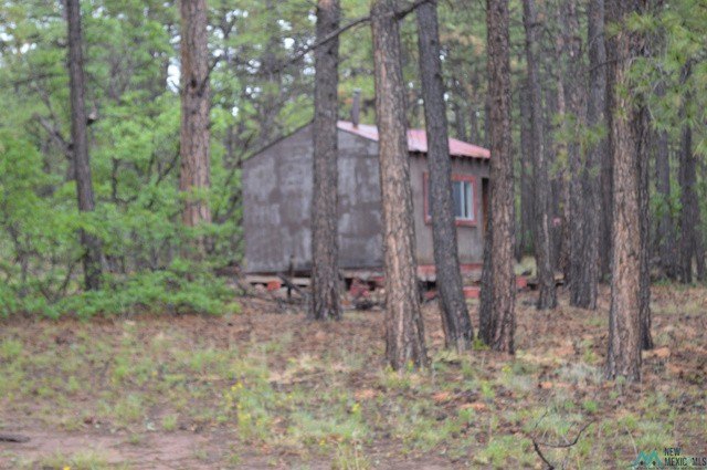 Picture 12