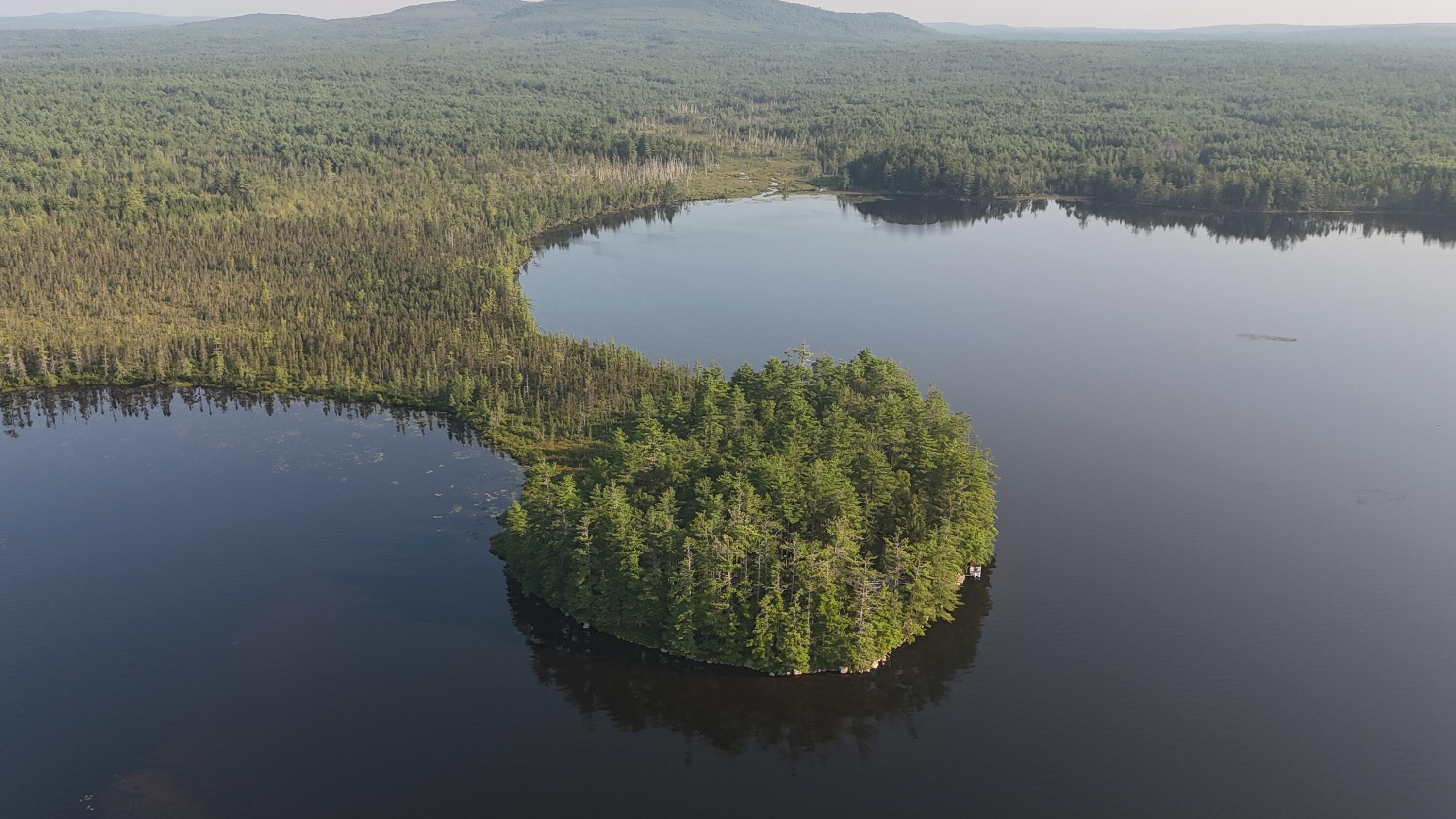 Unique Peninsula Acreage on Lake