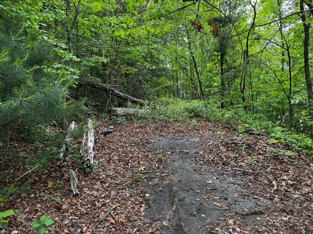 Picture 10