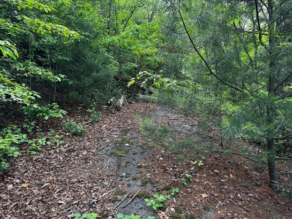 Picture 4