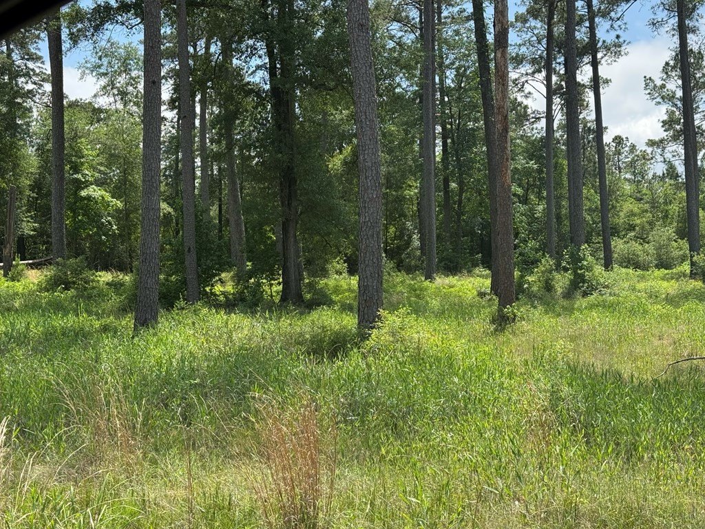 Picture 10